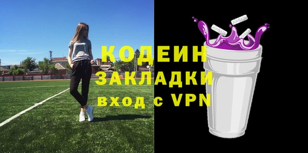 индика Балахна