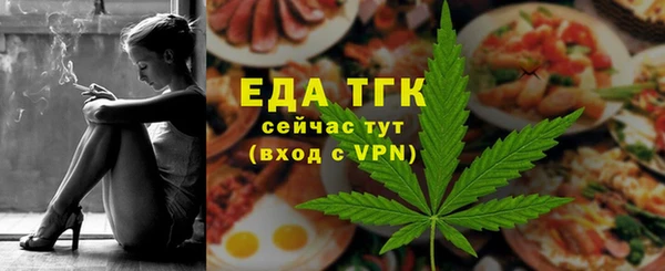 индика Балахна
