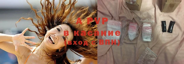 индика Балахна