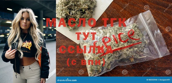 индика Балахна
