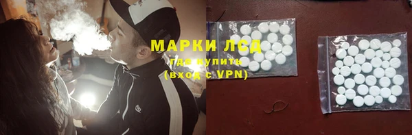 хмурый Аркадак