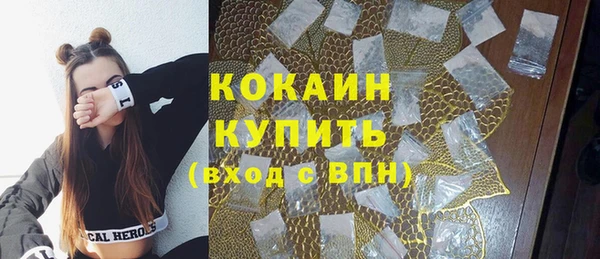 индика Балахна