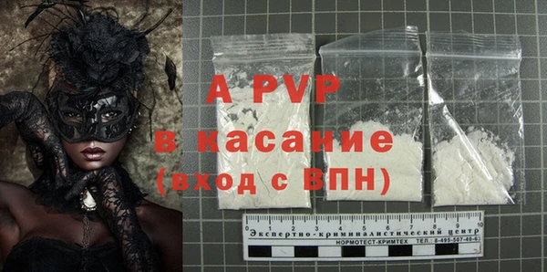 индика Балахна