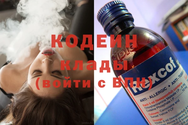 индика Балахна
