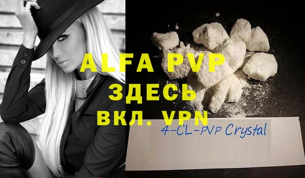 индика Балахна